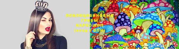 меф Армянск