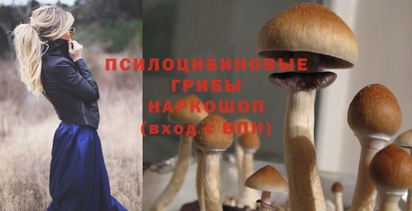 стаф Арсеньев