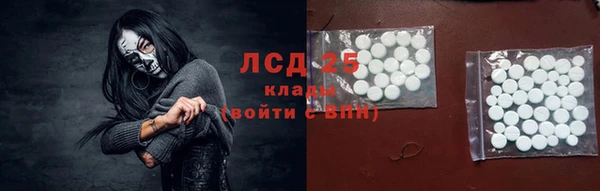 стаф Арсеньев