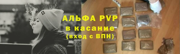 стаф Арсеньев