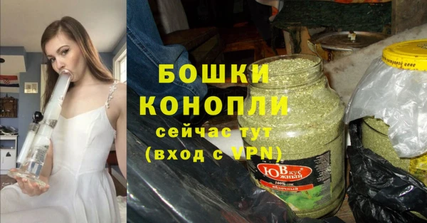 стаф Арсеньев