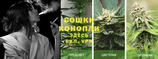 стаф Арсеньев